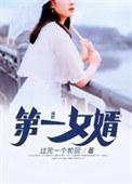 第一女婿梁军免费阅读