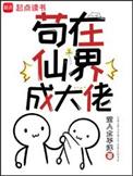 苟在仙界成大佬境界划分