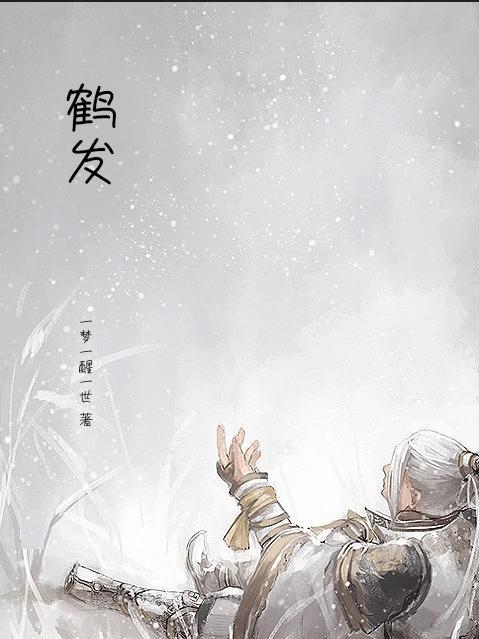 鹤发什么成语四字词语