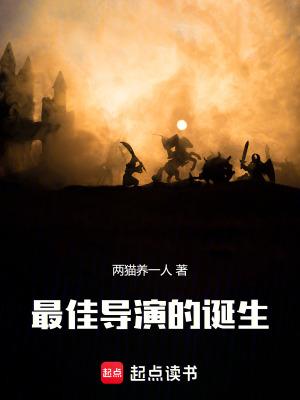 最佳导演的诞生首发