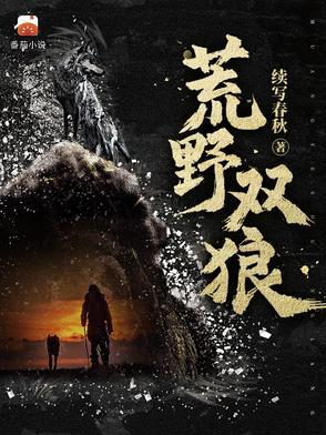 荒野双狼正版阅读