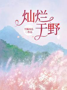 灿烂cl