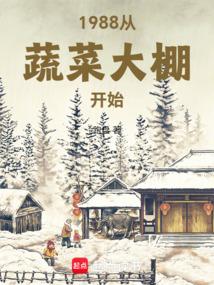 1988从蔬菜大棚开始全文