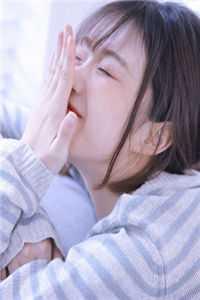 玉娇龙目录