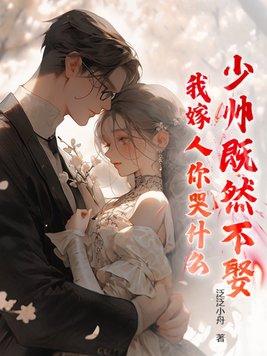 少帅找老婆