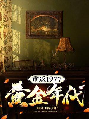重返1977黄金年代txt