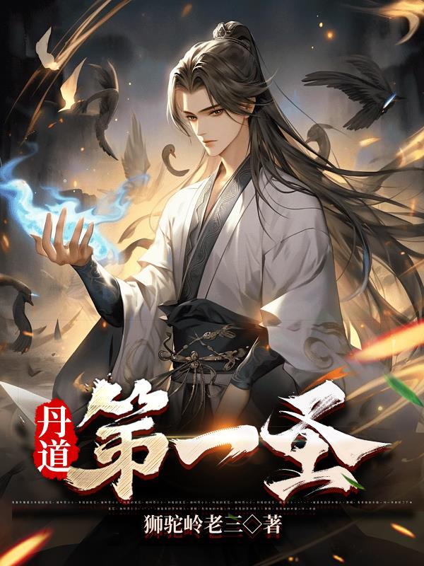 丹道第一圣全本TXT