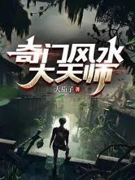 奇门风水师免费阅读全文