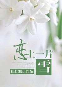 恋上一片雪第二十七章