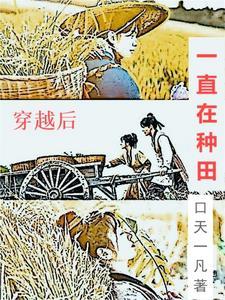 种田文一直在农村