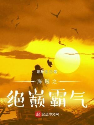 海贼之之